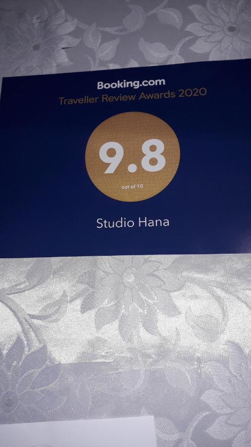 נובי סאד Studio Hana מראה חיצוני תמונה